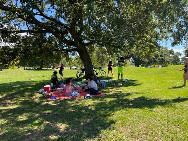 An open field of green grass is seen with a large tree in the center, the shade falling to the left. Underneath the tree are several teenagers sitting on picnic blankets with food and ice chests, some teenagers standing up getting ready to toss a ball in the background and one teenager walking in from the right side. Other trees with large spots of shade can be seen in the background as well as bikes lying against them.